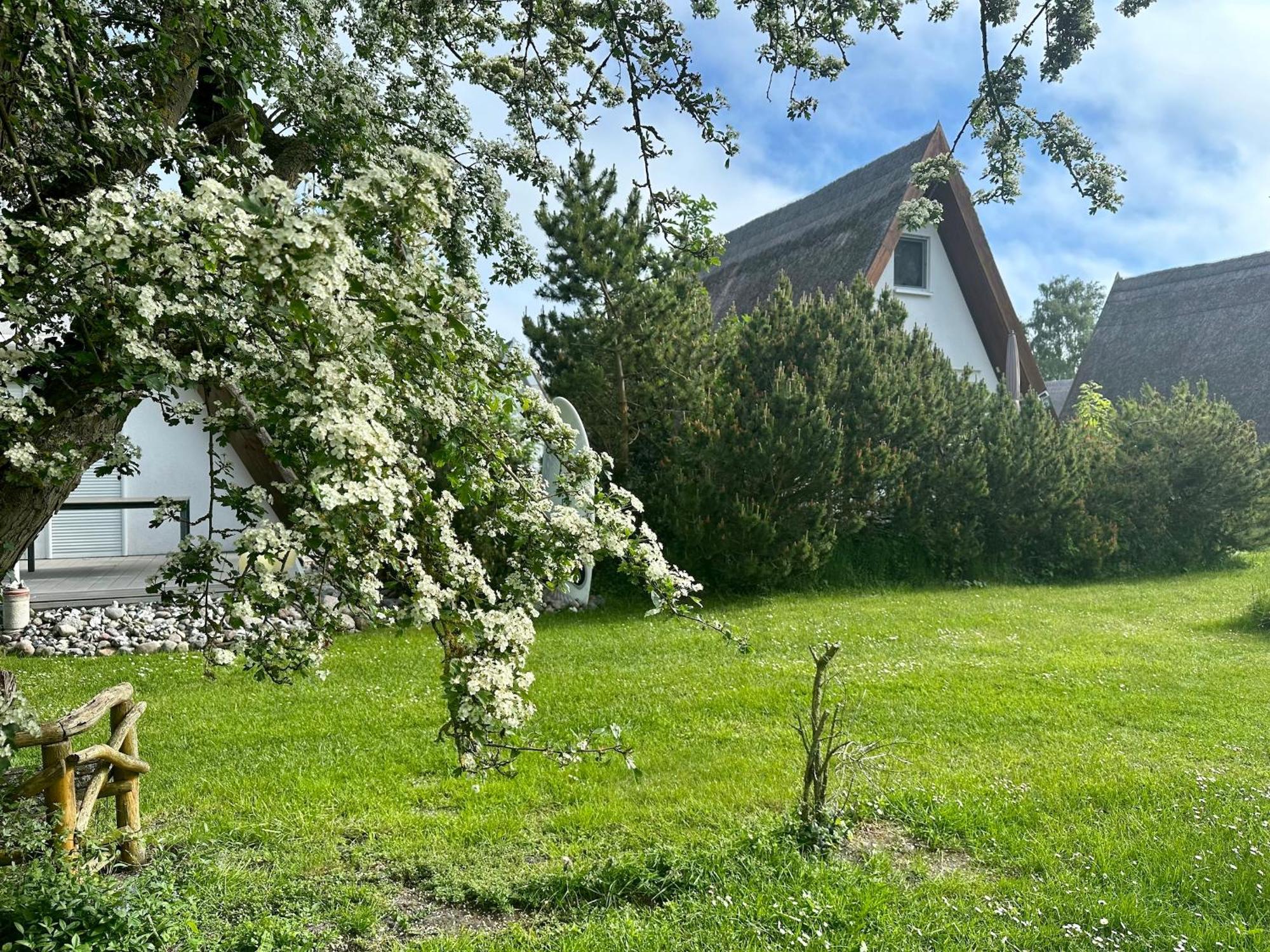 Finnhuette Nr.42 Auf Moenchgut Gager Exterior foto